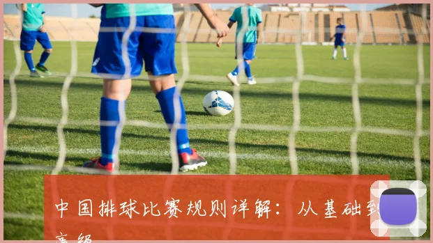 中国排球比赛规则详解：从基础到高级