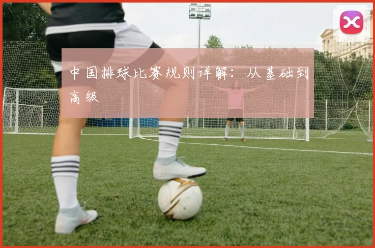 中国排球比赛规则详解：从基础到高级